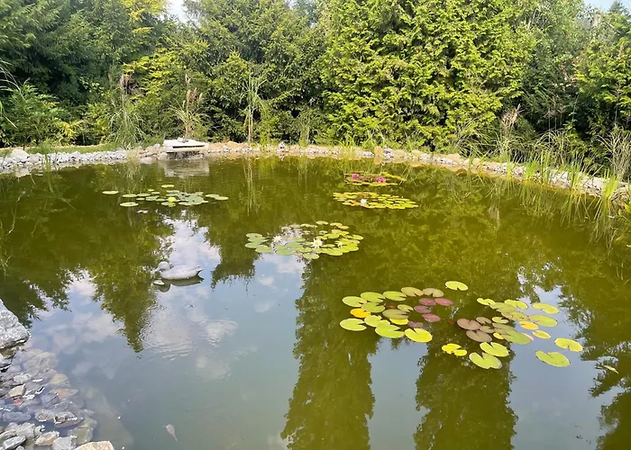 Moderne, Ruhige , Ideal Zum Abschalten Apartamento *