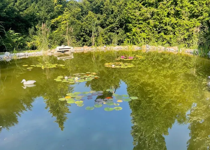 Apartamento Moderne, Ruhige , Ideal Zum Abschalten